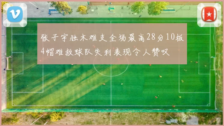 张子宇独木难支全场最高28分10板4帽难救球队失利表现令人赞叹